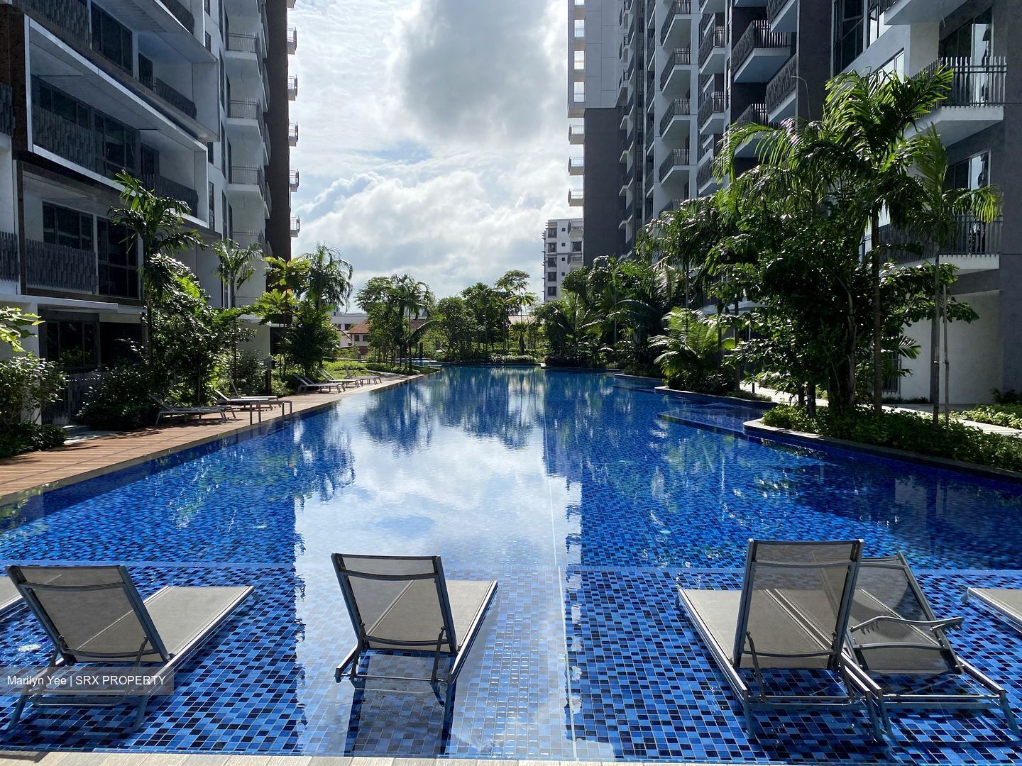 Forest Woods (D19), Condominium #275851401